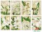 Preview: #120 Decorer Mini Scrapbook Paper Set White Flower