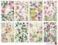 Preview: #123 Decorer Mini Scrapbook Paper Set Meadow