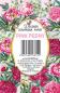 Preview: #132 Decorer Mini Scrapbook Paper Set Pink Peonies