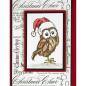 Preview: Stampendous Stempel Cling Santa Hut Owl