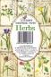 Preview: #110 Decorer Mini Scrapbook Paper Set Herbs