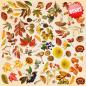 Preview: Fabrika Decoru 8x8 Paper Pack Autumn Botanical