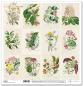 Preview: ITD Collection 12x12 Paper Pad Herbarium