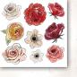 Preview: Paper Heaven 6x6 Paper Set Flowers A Christmas Garland