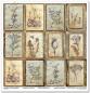 Preview: ITD Collection  Paper Pad 12x12 Herbarium 2 #049