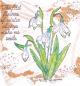 Preview: Studio Light Clear Stamp  Snowdrops #158