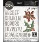 Preview: Thinlits Die by Tim Holtz Vault Seasonal Sketch (43pcs) #666719