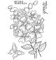 Preview: Woodware Clear Stamp Bold Blooms Beatrice JGS596