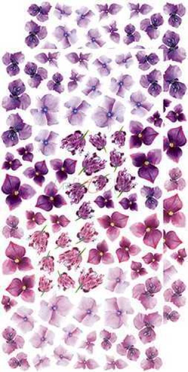 Craft O Clock Basic Flowers Set 4 Purple Fuchsia