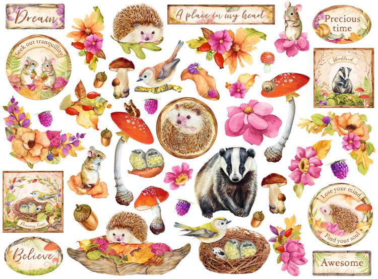 DFLDC86 Stamperia Die Cuts Assorted Woodland