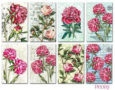 Decorer Mini Scrapbook Paper Set Peony