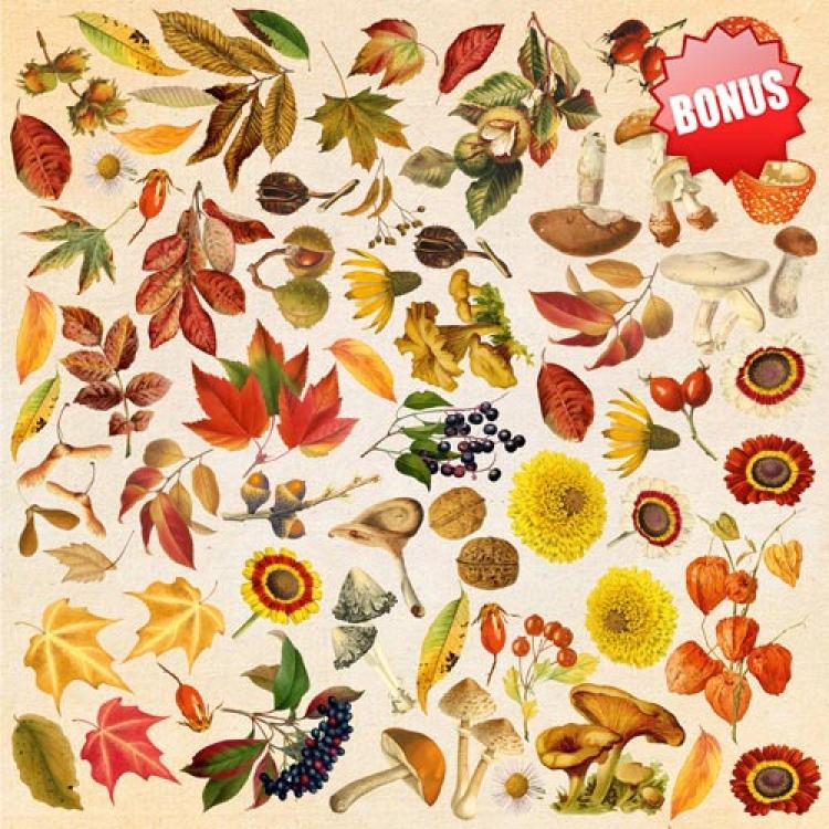 Fabrika Decoru 8x8 Paper Pack Autumn Botanical