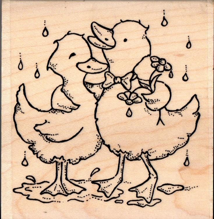 FunStamps Mounted Rubber Stamp Ducky Duo FQ95