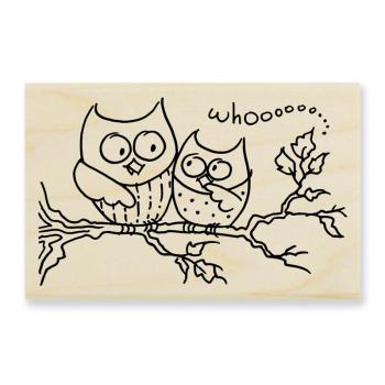 owls on a branch