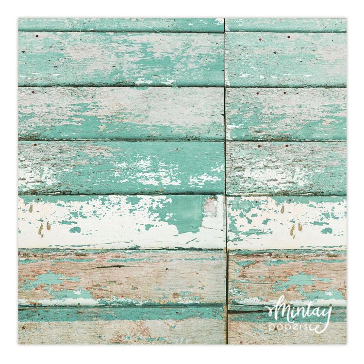 Mintay Papers Craft Photo Backdrops #04