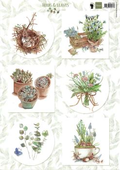 Marianne Design A4 Sheet Herbs & Leaves 01