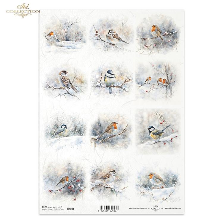 R2491 ITD Collection Botanical Garden in Winter A4 Rice Paper