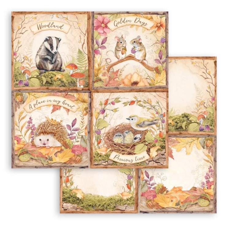 SBB962 Stamperia 12x12 Paper 3-er Set Woodland Cards