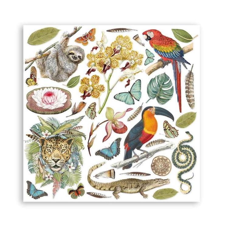 Stamperia 8x8 Paper Pad Amazonia #SBBS28