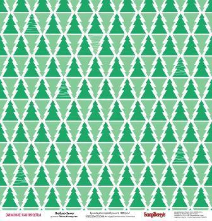 ScrapBerry´s 12x12 Scrapbooking Paper Pad Happy Holidays