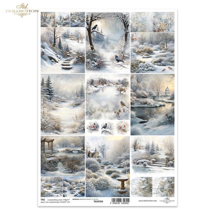 TAG0356 ITD Collection Botanical Garden in Winter A4 Scrapbooking Paper