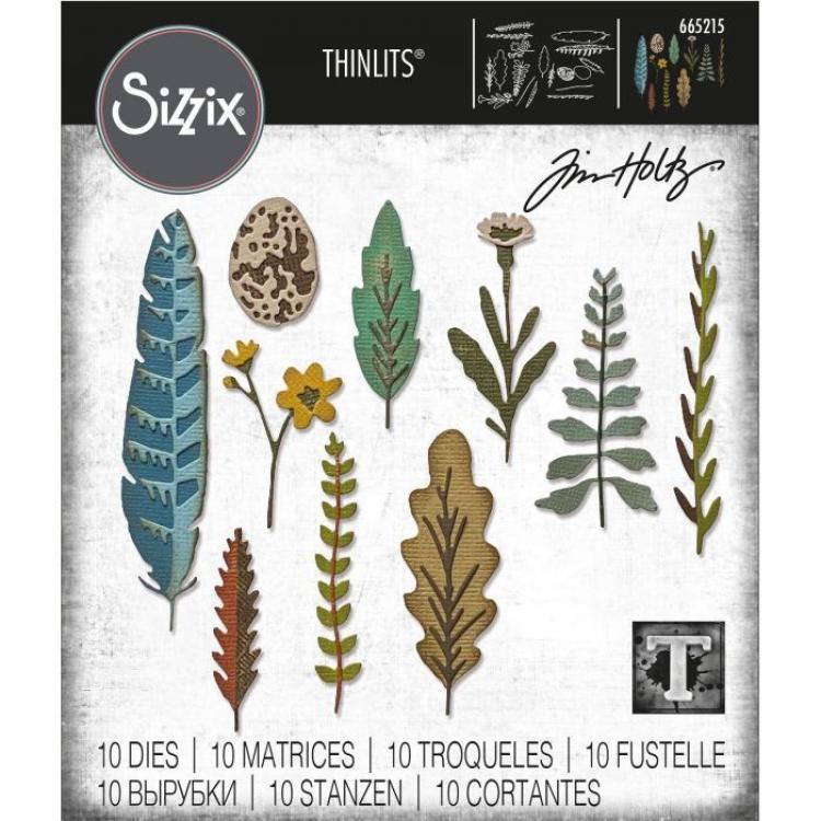 Tim Holtz Thinlits Dies 10Pk Funky Nature #665215