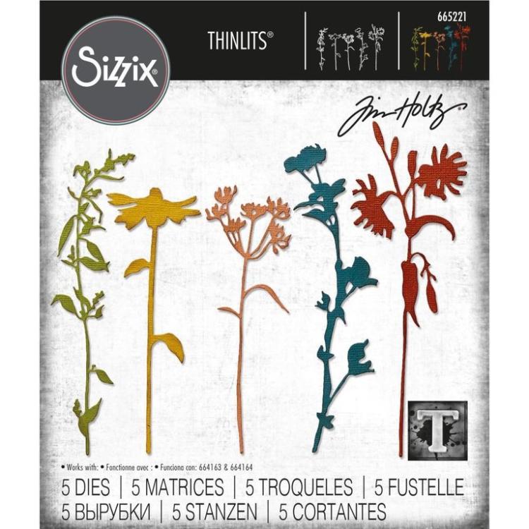 Tim Holtz Thinlits Dies 5Pk Set Wildflower Stems #665221