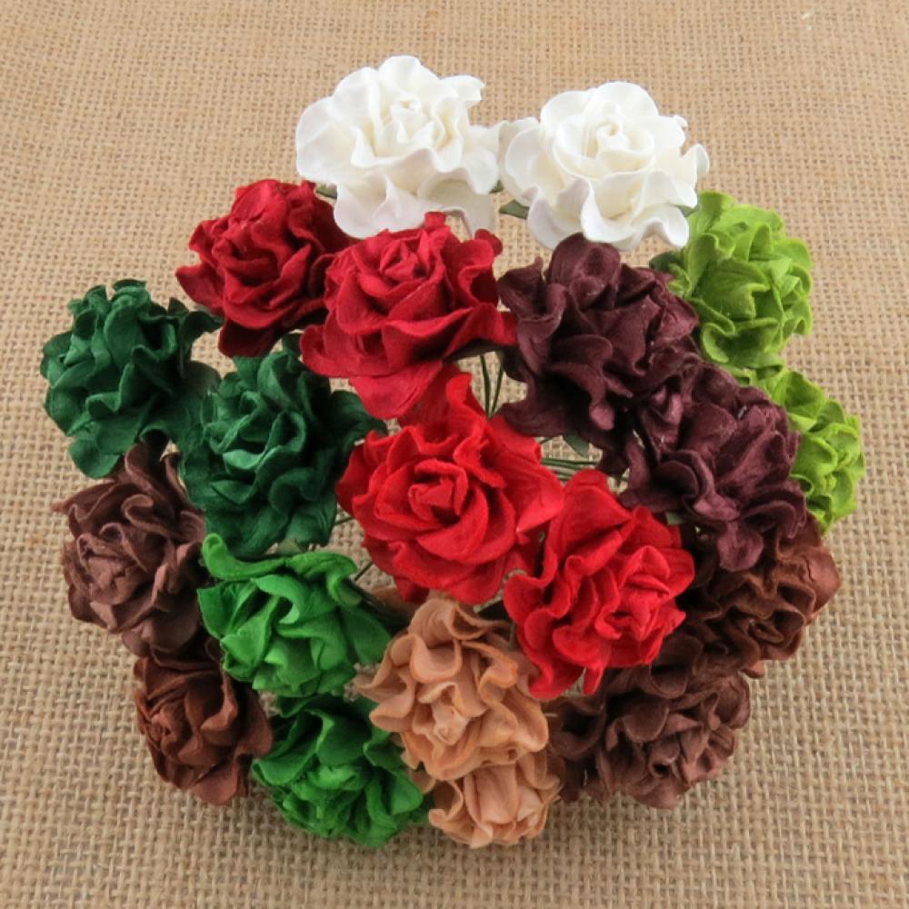 20 Mixed Christmas Colour Tuscany Roses SAA448