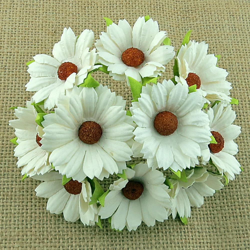 50 Ivory Mulberry Paper Flowers Chrysanthemums #266