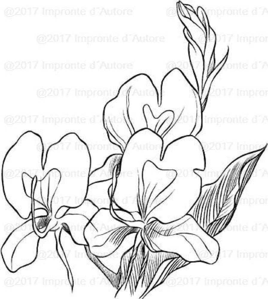 Impronte d'Autore Stamp Iris