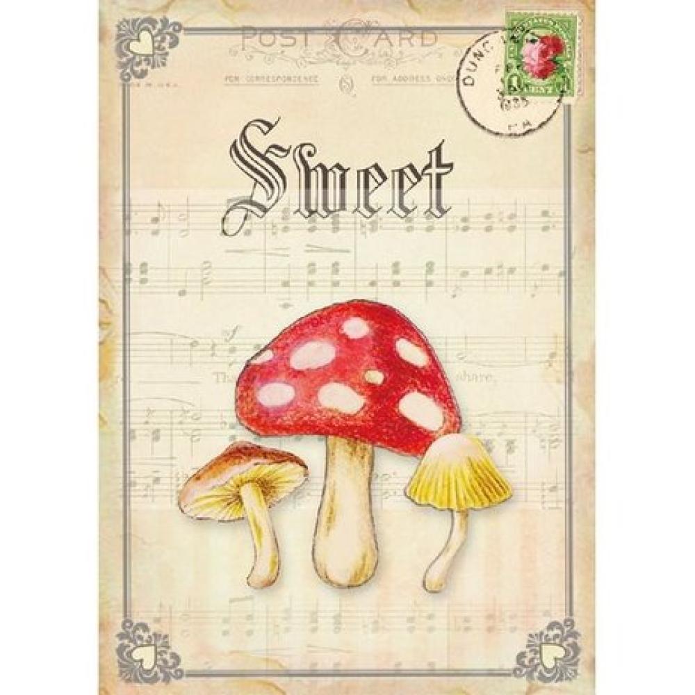 Asuka Studio Journaling Cards Forest Friends