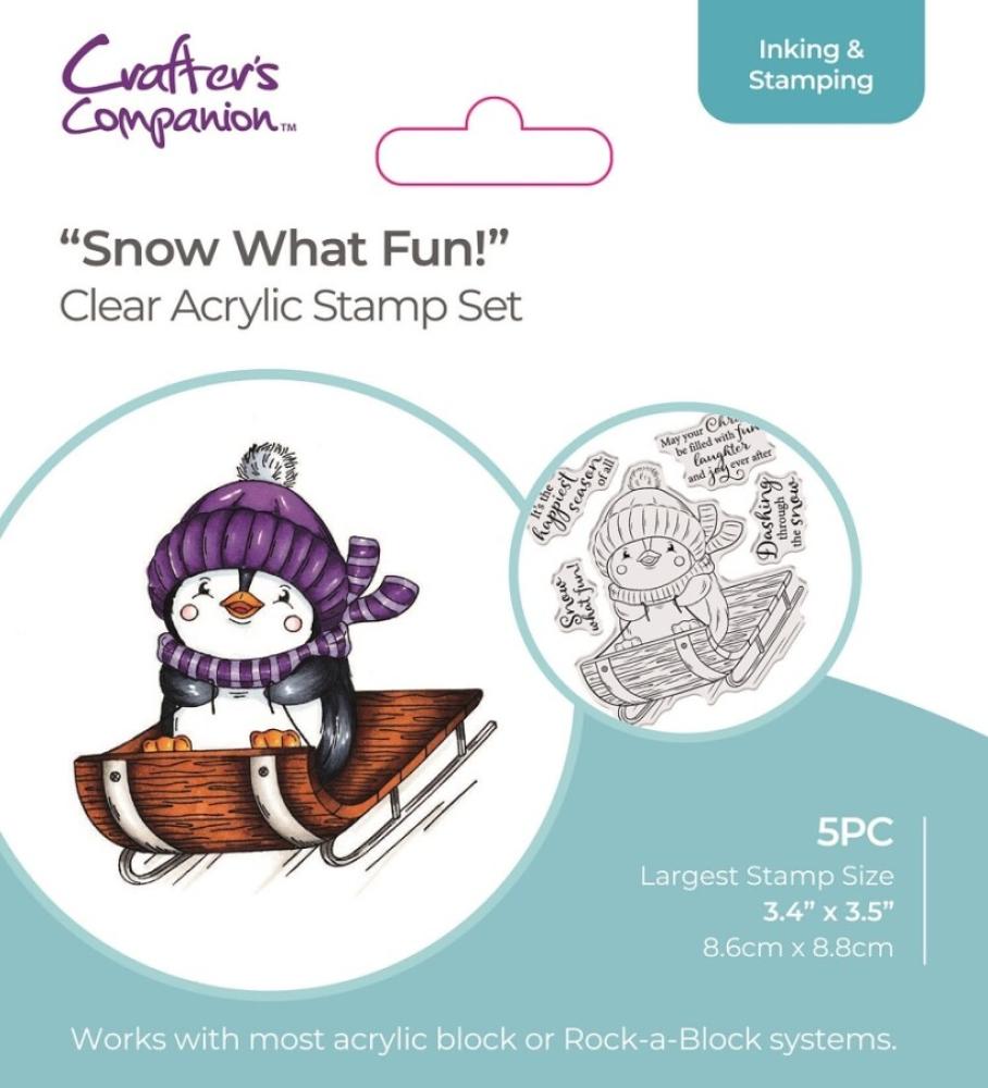 Crafters Companions Clear Stamp Snow What Fun!