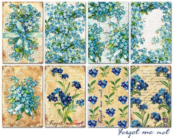 #48 Decorer Mini Scrapbook Paper Forget Me Not