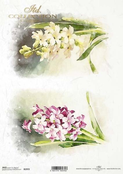 ITD Collection A4 Rice Paper Hyacinths R1972