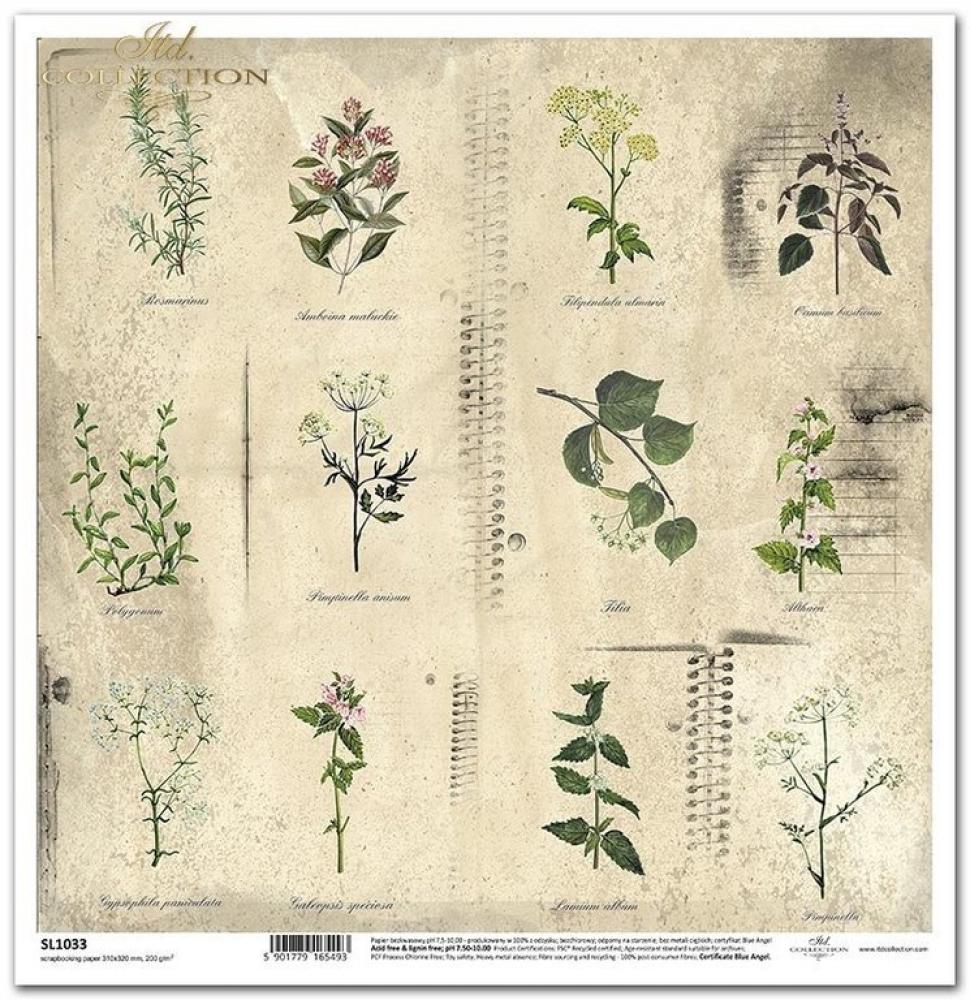 ITD Collection 12x12 Paper Pad Herbarium