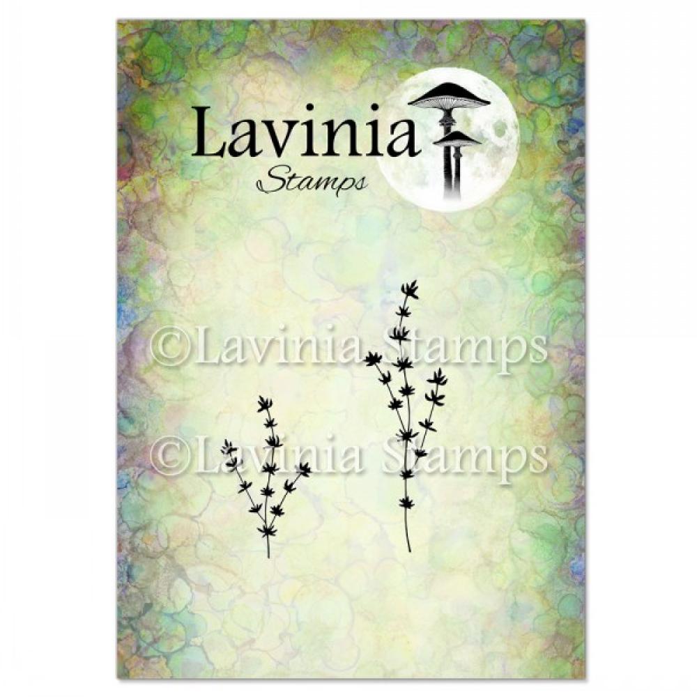 LAV952 Lavinia Stamp Thyme