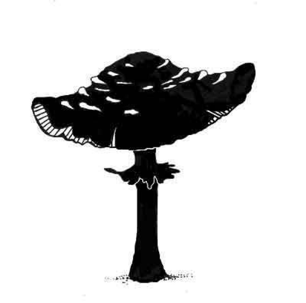 Lavinia Stamp Toadstool