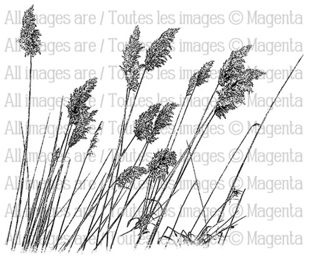 Magenta Cling Stamp Wild Miscanthus