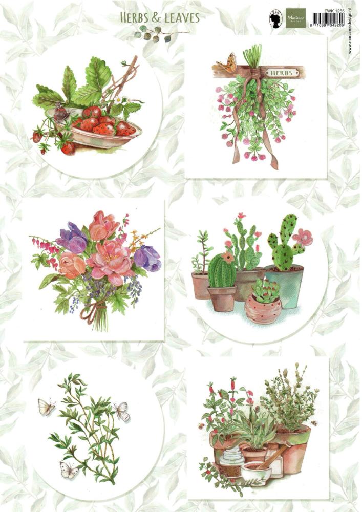 Marianne Design A4 Bogen Herbs & Leaves 02