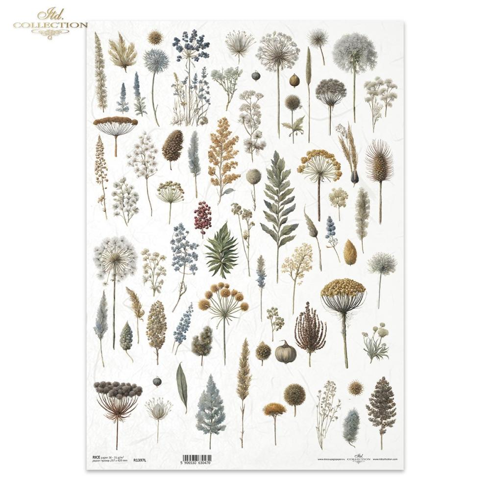 R1397L ITD Collection Botanical Garden in Winter A3 Rice Paper