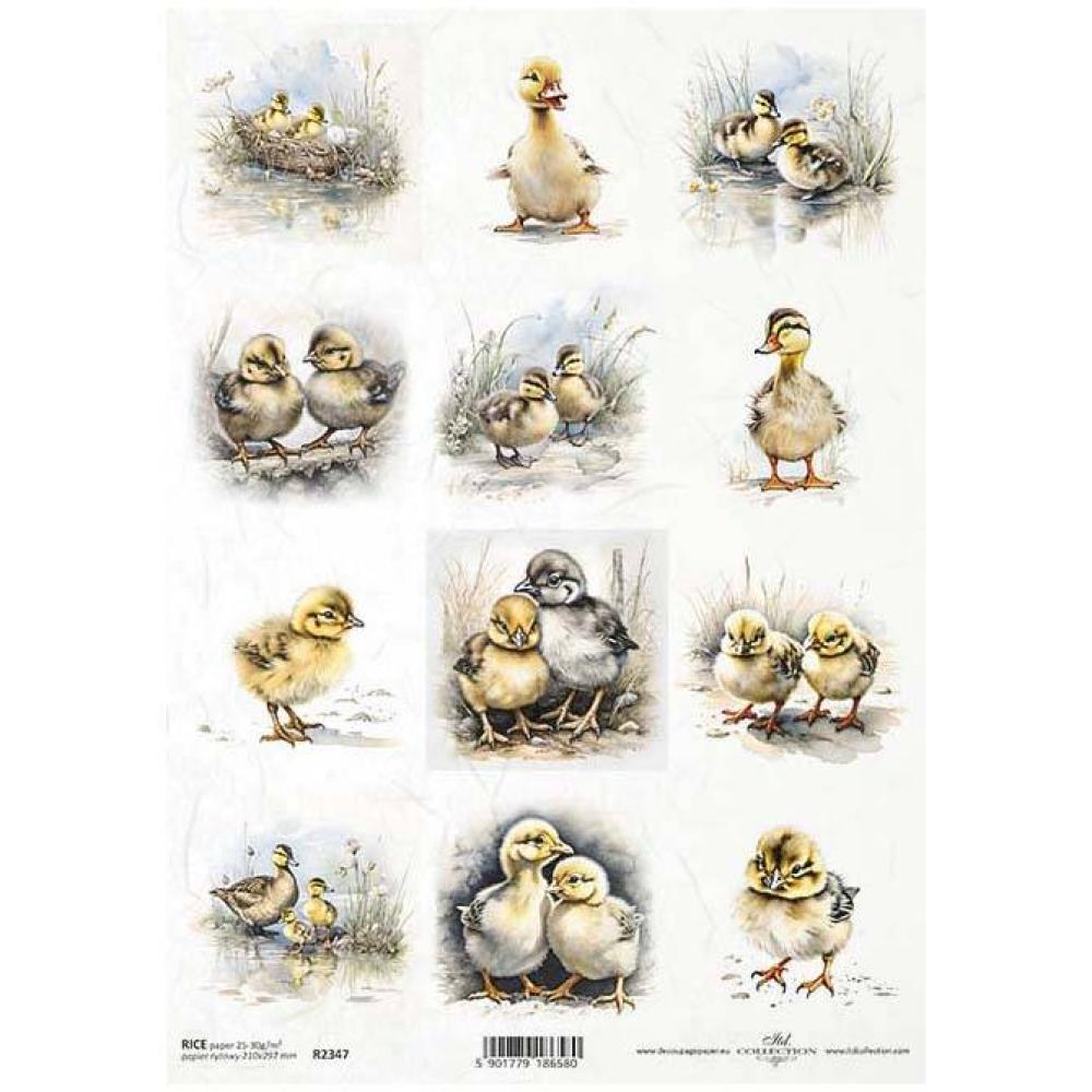 R2347  ITD Collection A4 Rice Paper Ducklings