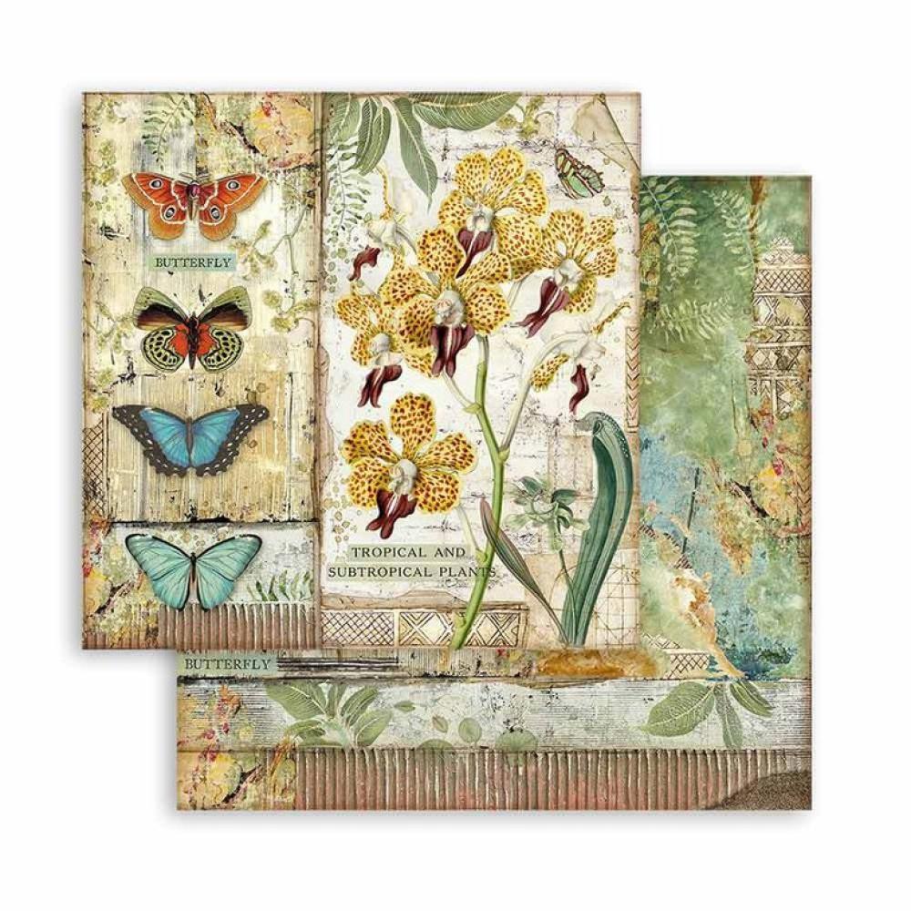 Stamperia 8x8 Paper Pad Amazonia #SBBS28