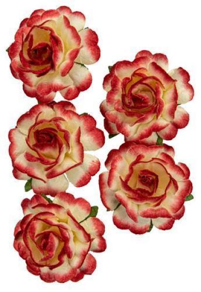 Mulberry Flowers Jubilee Roses 3.8 cm White-Red