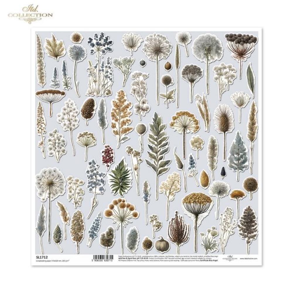 SL1712 ITD Collection Botanical Garden in Winter 12x12 Sheet