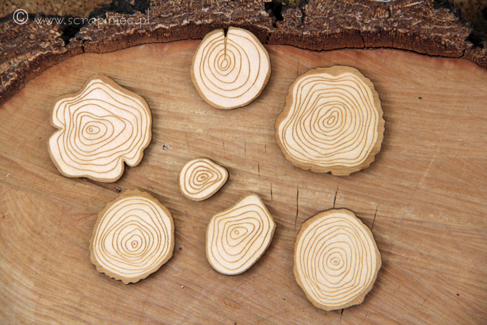 Scrapiniec Chipboard Wooden Chips