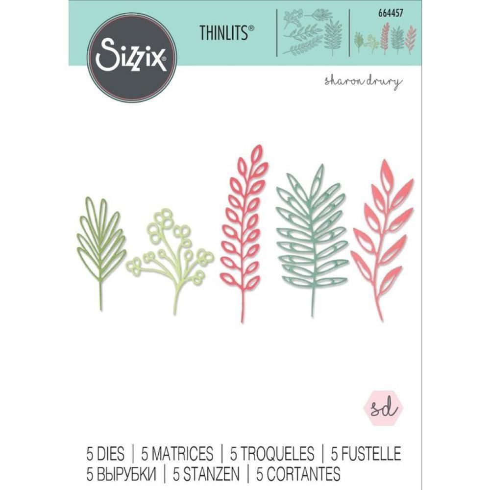 Sizzix Thinlits Die Set 5PK Delicate Leaves #664457