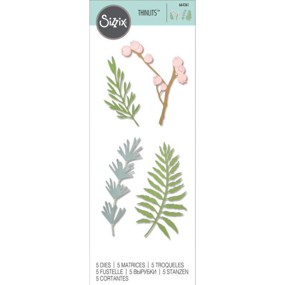 Sizzix Thinlits Dies 5Pk Natural Leaves #664361