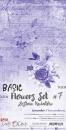 Craft O Clock Basic Flowers Set 7 Lavender