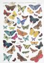 ITD A4 Rice Paper Butterflies R0230