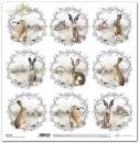 ITD Collection 12x12 Sheet Hares with Wreaths SL1127